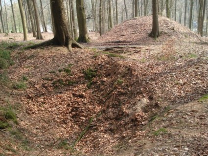 Schurfschacht Drenberg