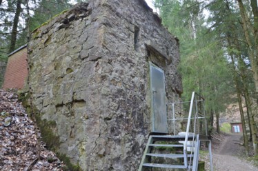 Alter Hochbehlter am Kolbach