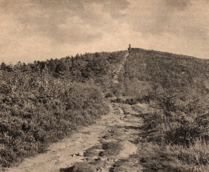 Blick vom Bergrcken des Drenbergs Richtung stlichem Aussichtsturm