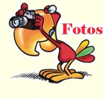 Fotogalerie