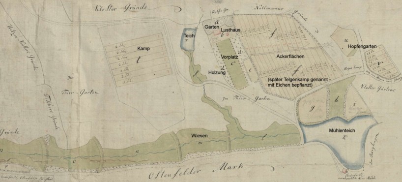 Carte von einigen Landesfrstlichen Dominal Grund-Stcken, 1796