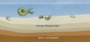 Meer vor 95 Millionen Jahren (Querschnitt)