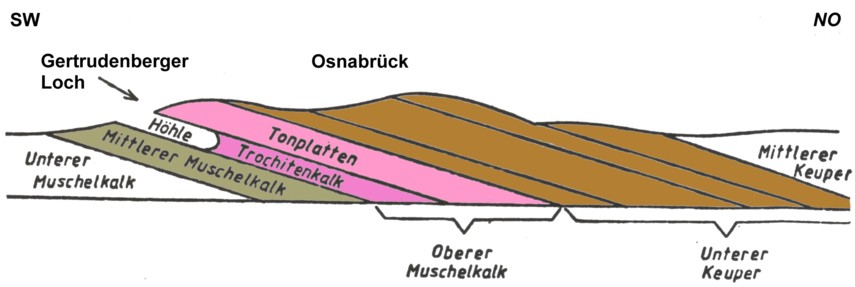 Schnitt