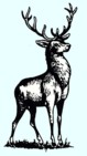 Emblem Hirsch