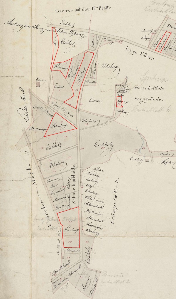 Besitztmer des Markktters Klntrup in Sentrup, 1813 (rot umrandet)