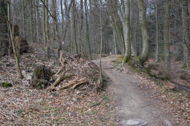 Ansicht der Erhebung am Offenen Holz von Sden