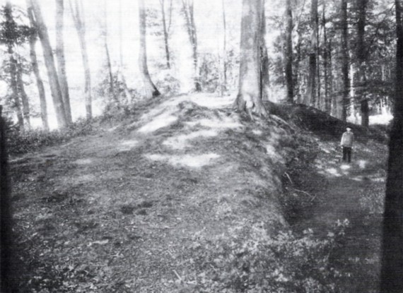 vermeintlicher Tumulus am Offenen Holz von Sden