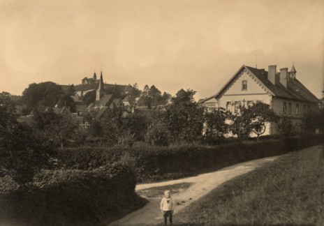 Blick auf Iburg mit Franziskus-Hospital (rechts)