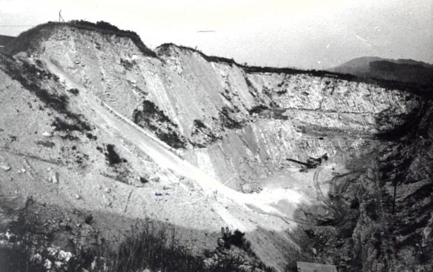 Blick in den nordwestlichen Steinbruch, 1960