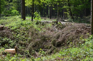 Neuer (2.) Tiefbauschacht