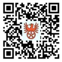 QR-Code Zeppelinstein